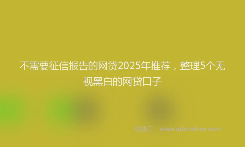 不需要征信报告的网贷2025年推荐，整理5个无视黑白的网贷口子