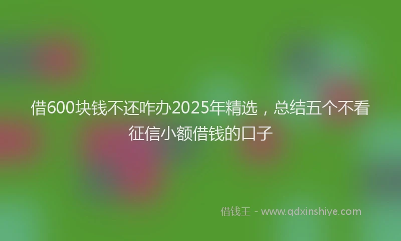 借600块钱不还咋办2025年精选，总结五个不看征信小额借钱的口子