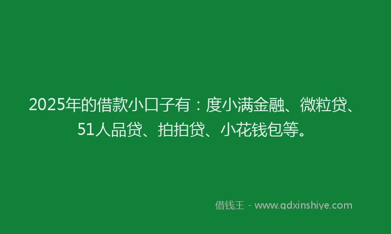 2025年的借款小口子有：度小满金融、微粒贷、51人品贷、拍拍贷、小花钱包等。