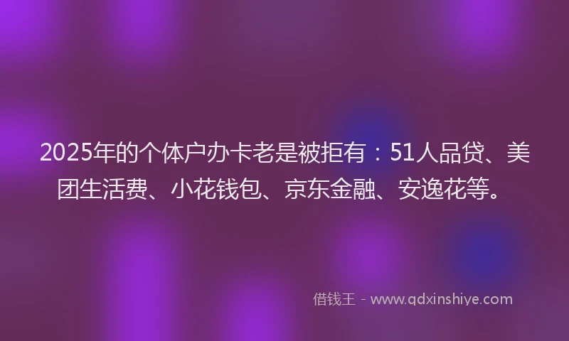 2025年的个体户办卡老是被拒有：51人品贷、美团生活费、小花钱包、京东金融、安逸花等。