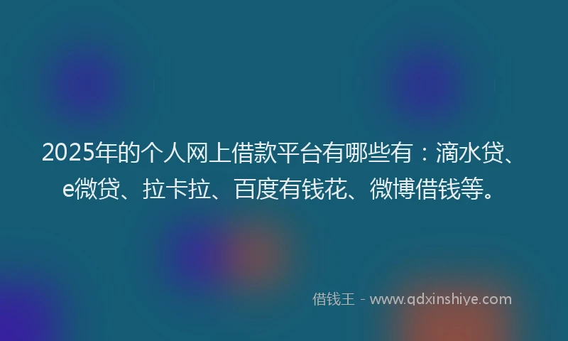 2025年的个人网上借款平台有哪些有：滴水贷、e微贷、拉卡拉、百度有钱花、微博借钱等。