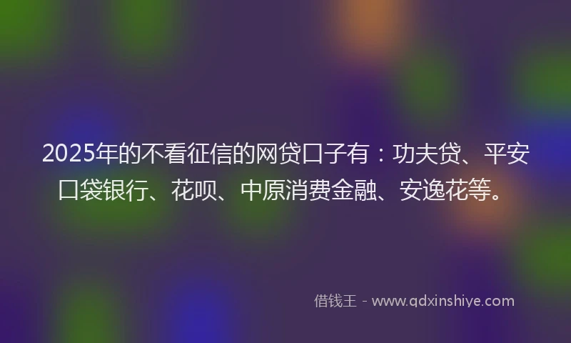 2025年的不看征信的网贷口子有：功夫贷、平安口袋银行、花呗、中原消费金融、安逸花等。