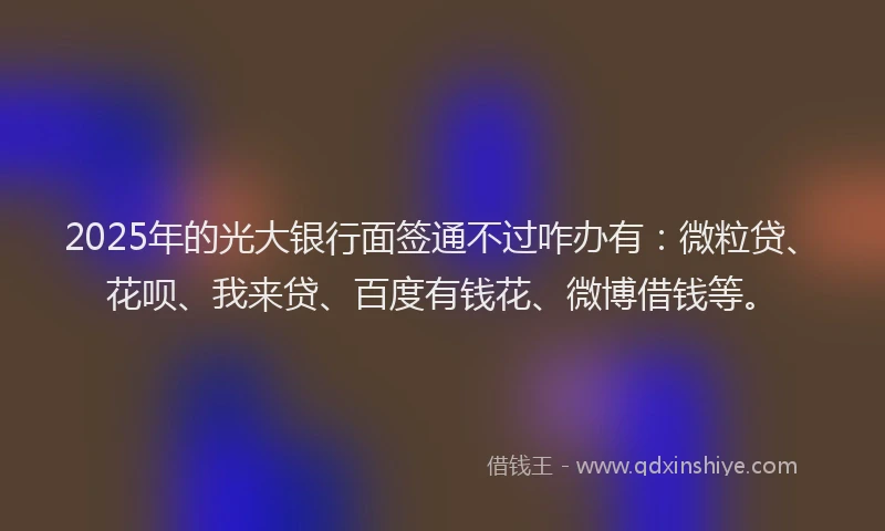 2025年的光大银行面签通不过咋办有：微粒贷、花呗、我来贷、百度有钱花、微博借钱等。