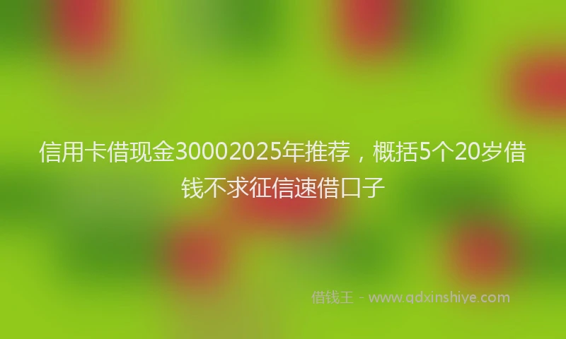 信用卡借现金30002025年推荐，概括5个20岁借钱不求征信速借口子
