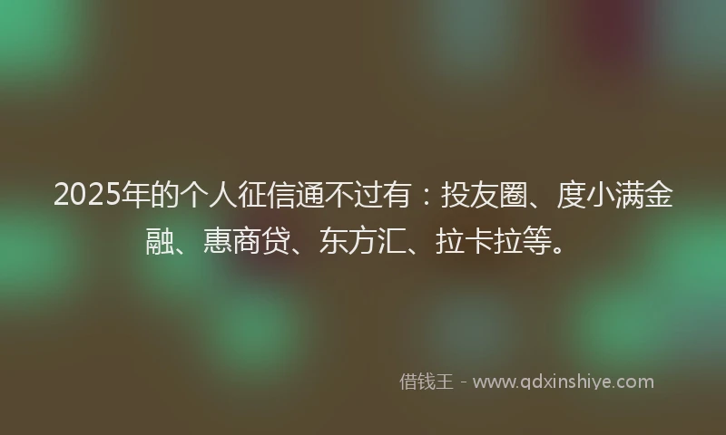 2025年的个人征信通不过有：投友圈、度小满金融、惠商贷、东方汇、拉卡拉等。