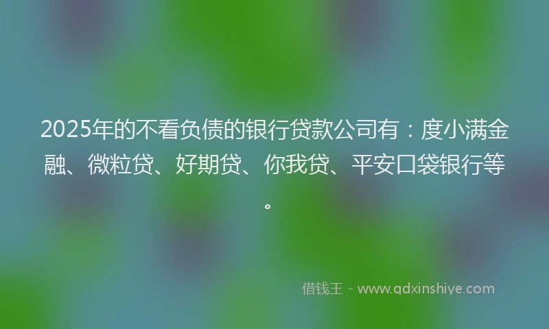 2025年的不看负债的银行贷款公司有：度小满金融、微粒贷、好期贷、你我贷、平安口袋银行等。