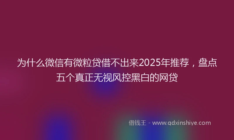 为什么微信有微粒贷借不出来2025年推荐，盘点五个真正无视风控黑白的网贷