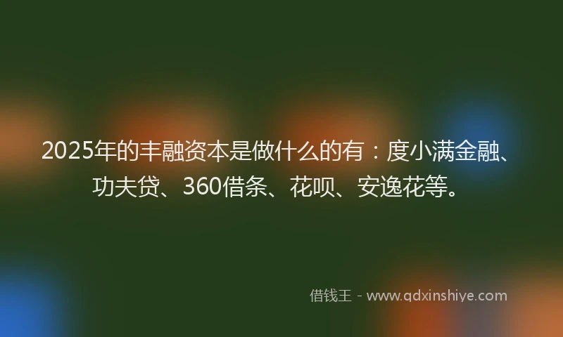 2025年的丰融资本是做什么的有：度小满金融、功夫贷、360借条、花呗、安逸花等。