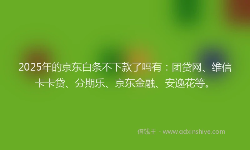 2025年的京东白条不下款了吗有：团贷网、维信卡卡贷、分期乐、京东金融、安逸花等。