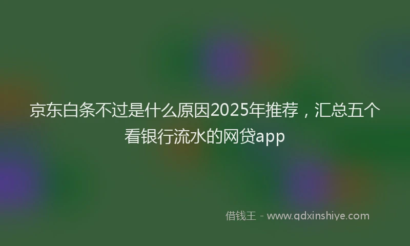 京东白条不过是什么原因2025年推荐，汇总五个看银行流水的网贷app