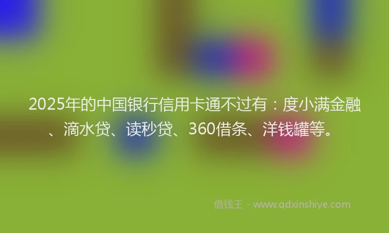 2025年的中国银行信用卡通不过有：度小满金融、滴水贷、读秒贷、360借条、洋钱罐等。