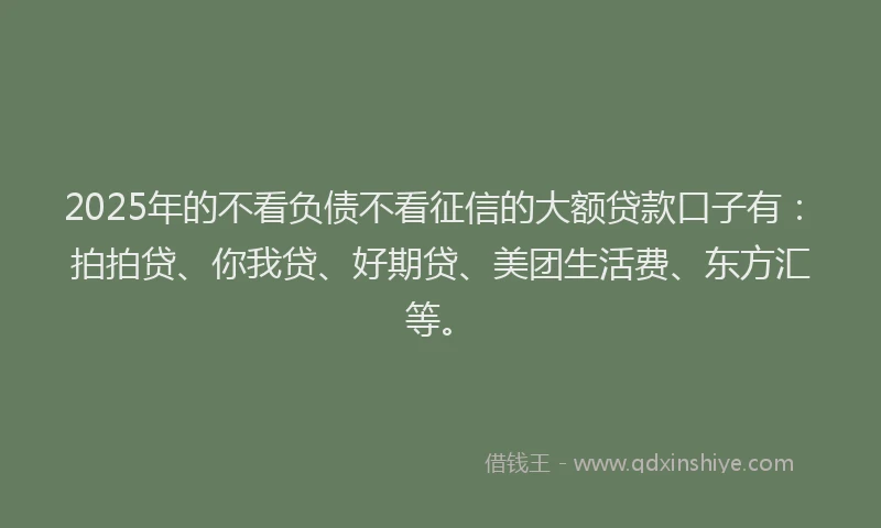 2025年的不看负债不看征信的大额贷款口子有：拍拍贷、你我贷、好期贷、美团生活费、东方汇等。