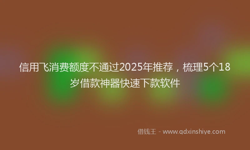 信用飞消费额度不通过2025年推荐，梳理5个18岁借款神器快速下款软件