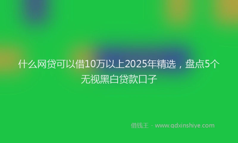 什么网贷可以借10万以上2025年精选，盘点5个无视黑白贷款口子