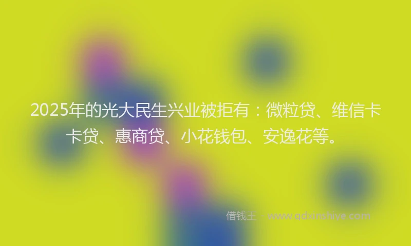 2025年的光大民生兴业被拒有：微粒贷、维信卡卡贷、惠商贷、小花钱包、安逸花等。