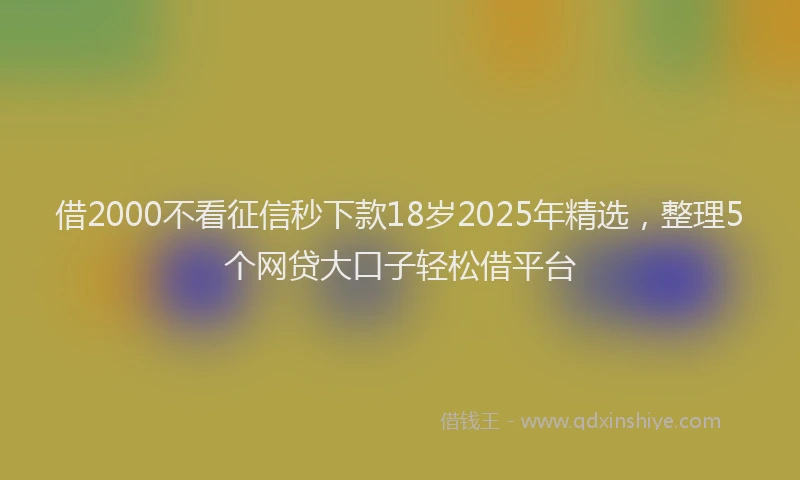 借2000不看征信秒下款18岁2025年精选，整理5个网贷大口子轻松借平台