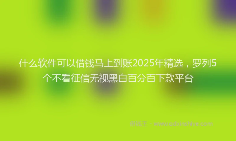 什么软件可以借钱马上到账2025年精选，罗列5个不看征信无视黑白百分百下款平台