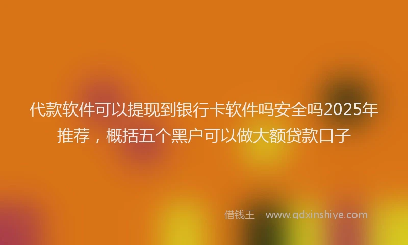 代款软件可以提现到银行卡软件吗安全吗2025年推荐，概括五个黑户可以做大额贷款口子
