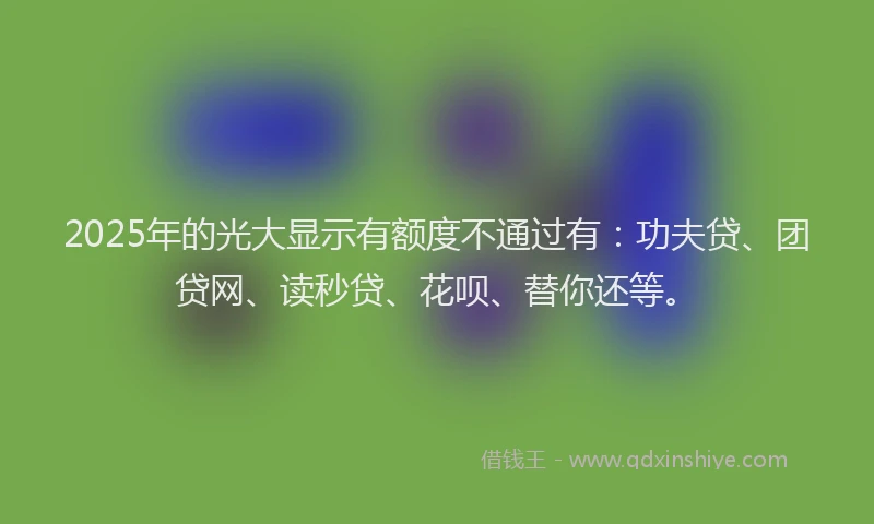 2025年的光大显示有额度不通过有：功夫贷、团贷网、读秒贷、花呗、替你还等。