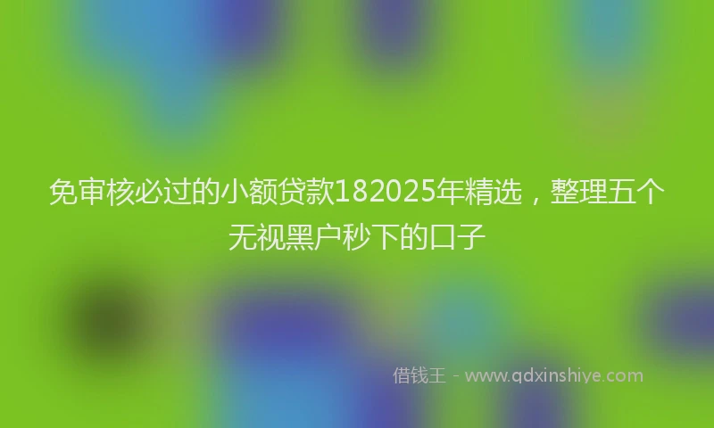 免审核必过的小额贷款182025年精选，整理五个无视黑户秒下的口子