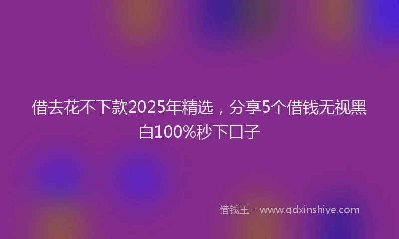 借去花不下款2025年精选，分享5个借钱无视黑白100%秒下口子