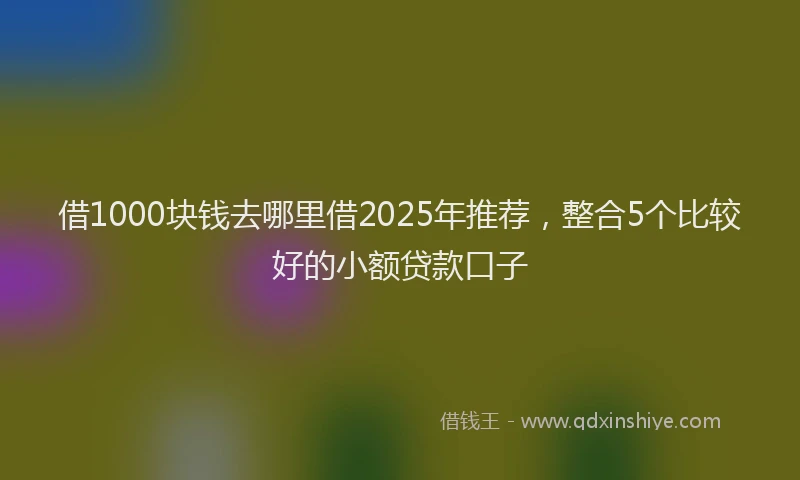 借1000块钱去哪里借2025年推荐，整合5个比较好的小额贷款口子