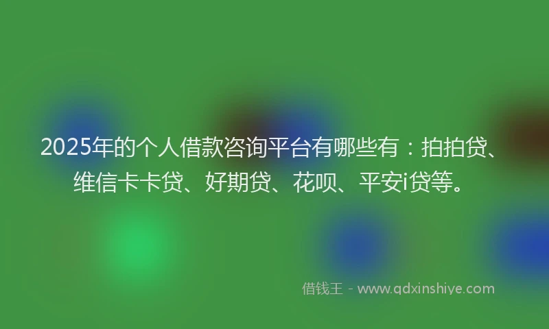 2025年的个人借款咨询平台有哪些有：拍拍贷、维信卡卡贷、好期贷、花呗、平安i贷等。