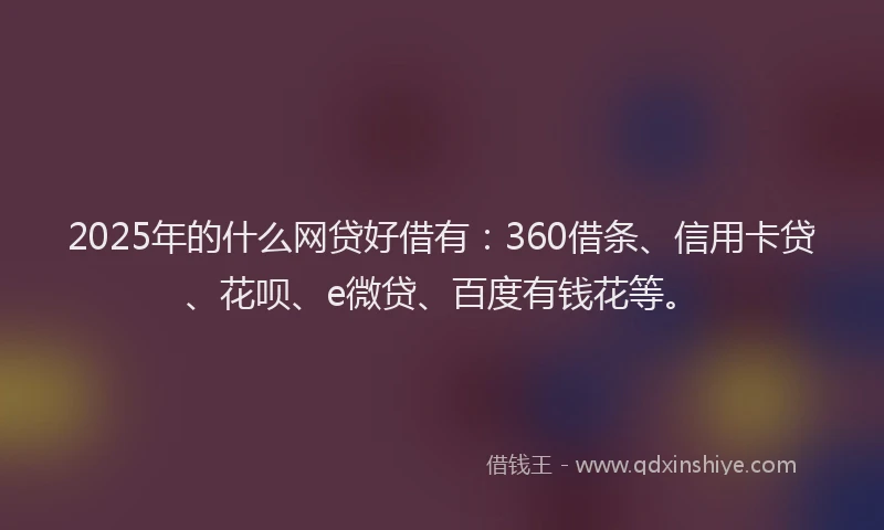 2025年的什么网贷好借有：360借条、信用卡贷、花呗、e微贷、百度有钱花等。