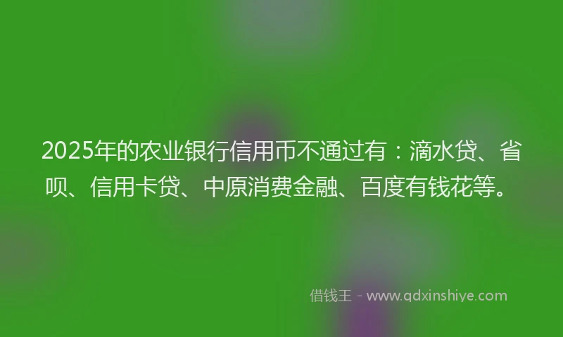 2025年的农业银行信用币不通过有：滴水贷、省呗、信用卡贷、中原消费金融、百度有钱花等。