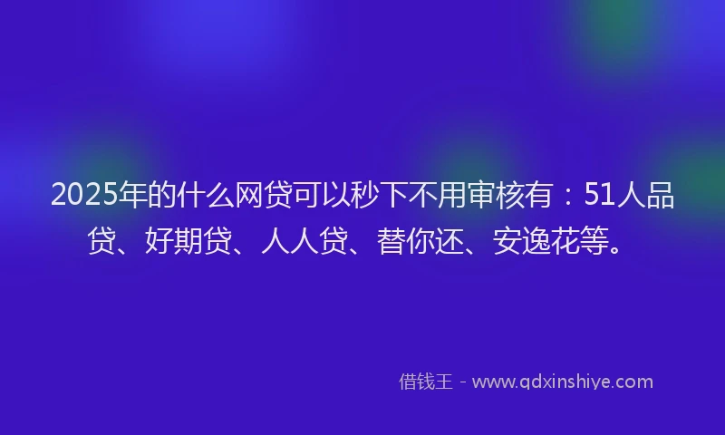 2025年的什么网贷可以秒下不用审核有：51人品贷、好期贷、人人贷、替你还、安逸花等。
