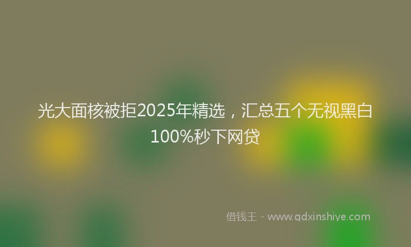 光大面核被拒2025年精选，汇总五个无视黑白100%秒下网贷