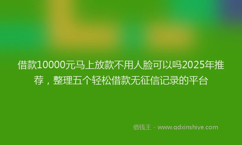 借款10000元马上放款不用人脸可以吗2025年推荐，整理五个轻松借款无征信记录的平台