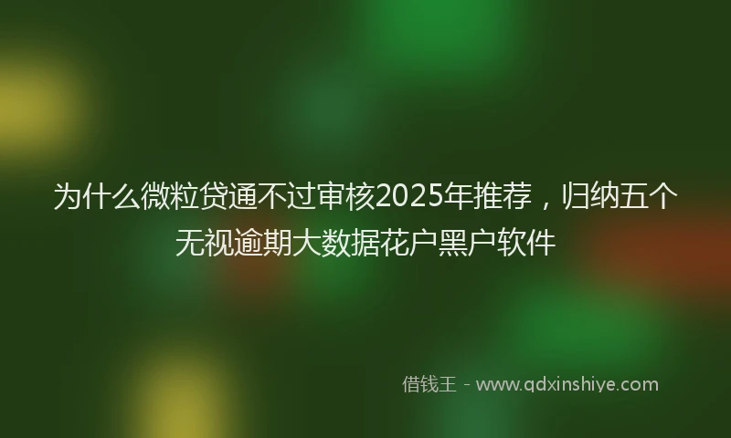 为什么微粒贷通不过审核2025年推荐，归纳五个无视逾期大数据花户黑户软件