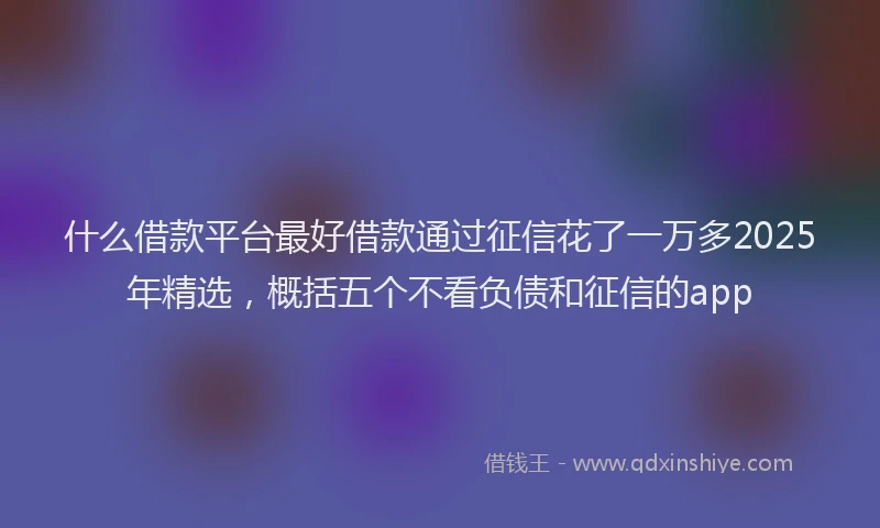 什么借款平台最好借款通过征信花了一万多2025年精选，概括五个不看负债和征信的app