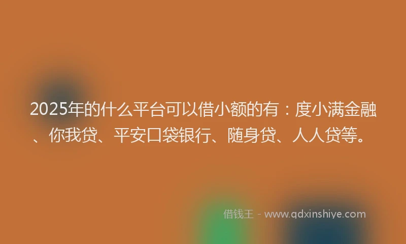 2025年的什么平台可以借小额的有：度小满金融、你我贷、平安口袋银行、随身贷、人人贷等。
