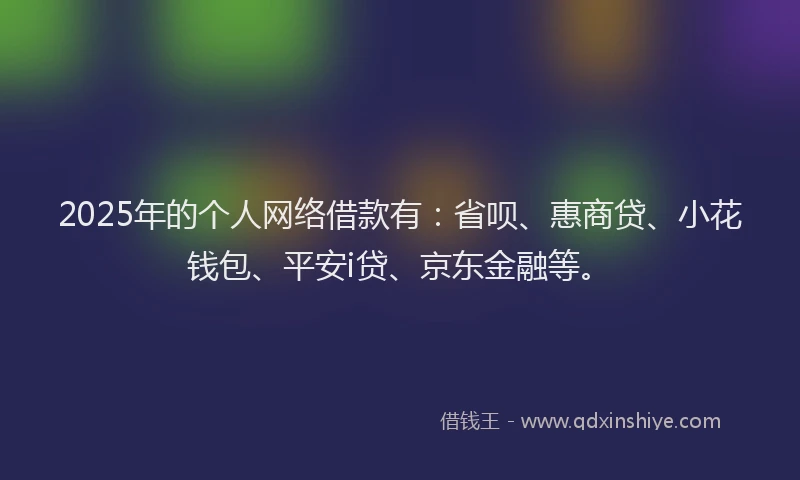 2025年的个人网络借款有：省呗、惠商贷、小花钱包、平安i贷、京东金融等。