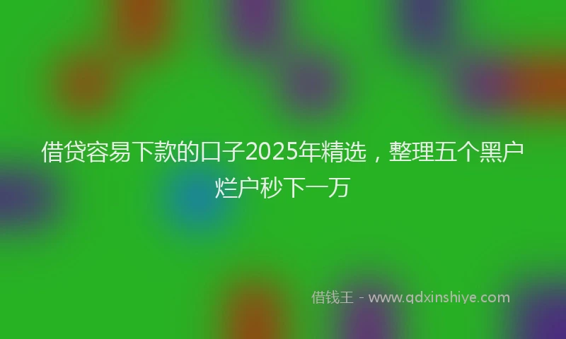 借贷容易下款的口子2025年精选，整理五个黑户烂户秒下一万