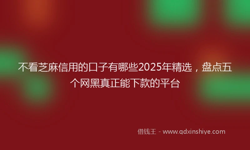 不看芝麻信用的口子有哪些2025年精选，盘点五个网黑真正能下款的平台