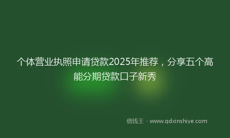 个体营业执照申请贷款2025年推荐，分享五个高能分期贷款口子新秀