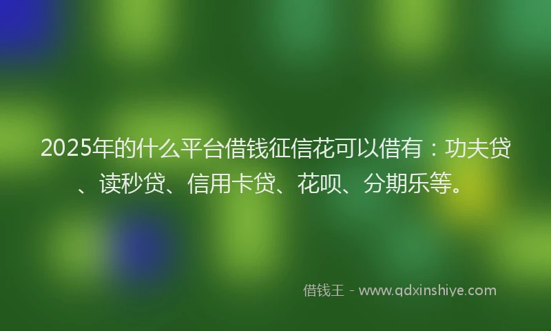 2025年的什么平台借钱征信花可以借有：功夫贷、读秒贷、信用卡贷、花呗、分期乐等。