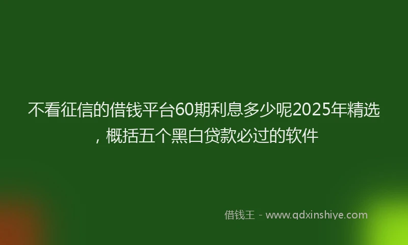 不看征信的借钱平台60期利息多少呢2025年精选，概括五个黑白贷款必过的软件