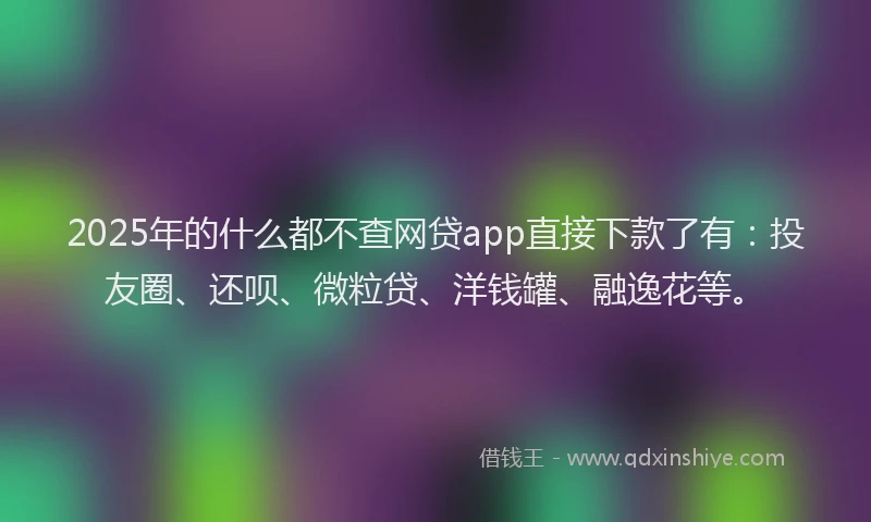 2025年的什么都不查网贷app直接下款了有：投友圈、还呗、微粒贷、洋钱罐、融逸花等。
