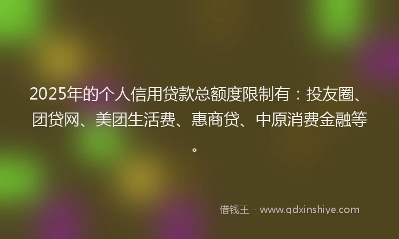 2025年的个人信用贷款总额度限制有：投友圈、团贷网、美团生活费、惠商贷、中原消费金融等。