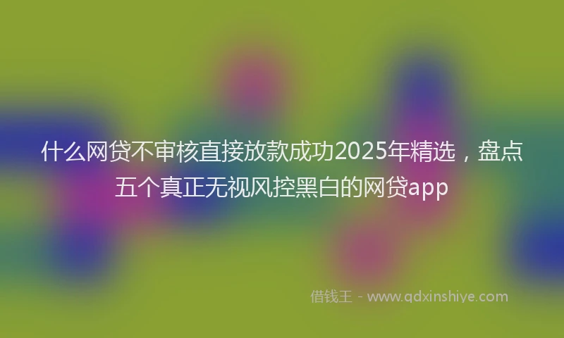什么网贷不审核直接放款成功2025年精选，盘点五个真正无视风控黑白的网贷app