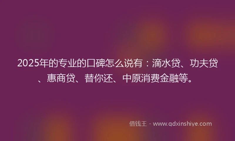 2025年的专业的口碑怎么说有：滴水贷、功夫贷、惠商贷、替你还、中原消费金融等。