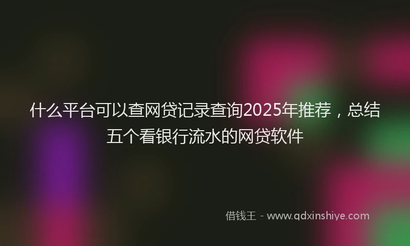 什么平台可以查网贷记录查询2025年推荐，总结五个看银行流水的网贷软件