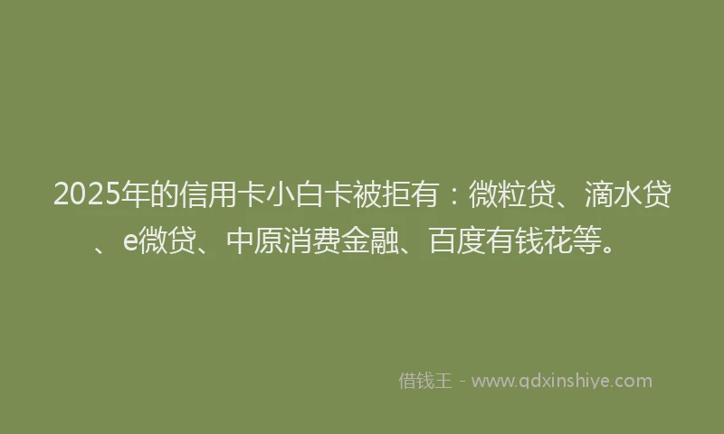 2025年的信用卡小白卡被拒有：微粒贷、滴水贷、e微贷、中原消费金融、百度有钱花等。