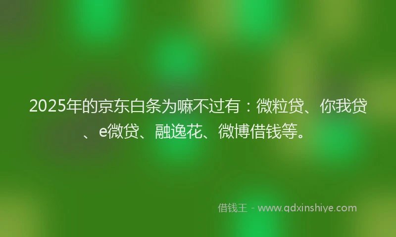 2025年的京东白条为嘛不过有：微粒贷、你我贷、e微贷、融逸花、微博借钱等。