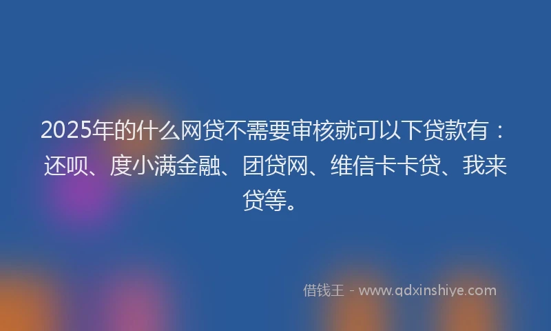 2025年的什么网贷不需要审核就可以下贷款有：还呗、度小满金融、团贷网、维信卡卡贷、我来贷等。