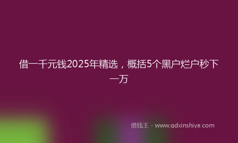 借一千元钱2025年精选，概括5个黑户烂户秒下一万